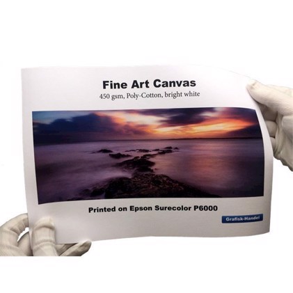 Fine Art Canvas