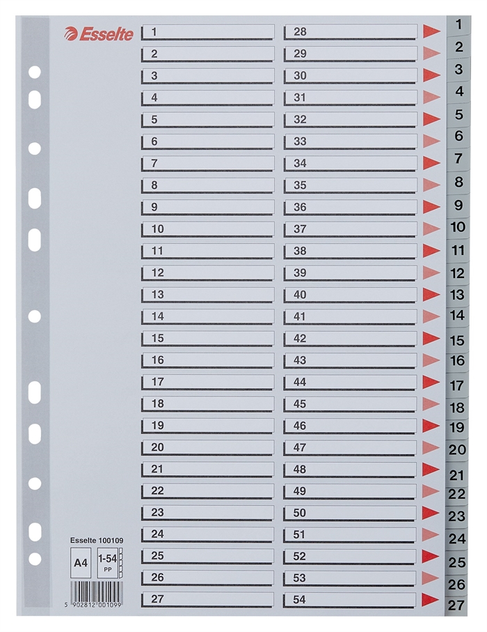 Esselte Register PP A4 1-54 grau