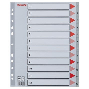 Esselte Register PP A4 maxi 1-12 grau.