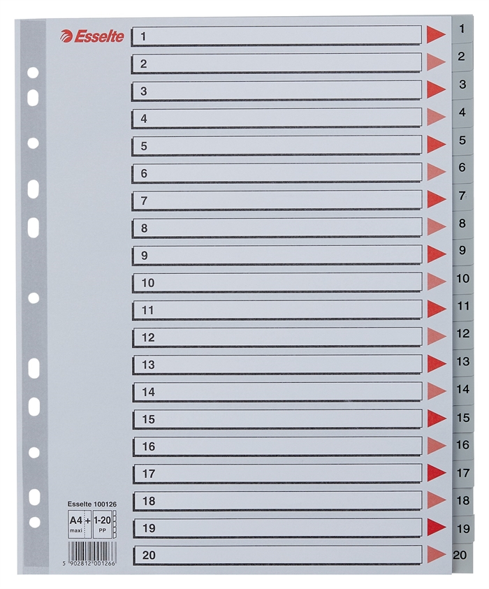 Esselte Register PP A4 Maxi 1-20 Grau