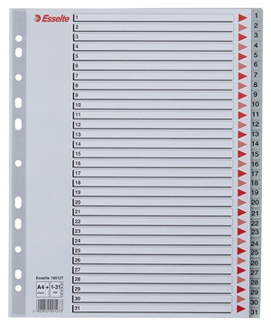 Esselte Register PP A4 Maxi 1-31 Grau
