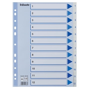 Esselte Register PP A4 1-12 weiß