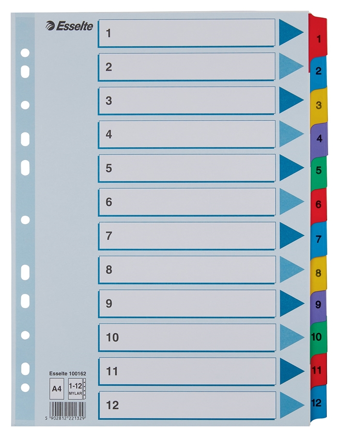 Esselte Register Mylar-Karton A4 1-12