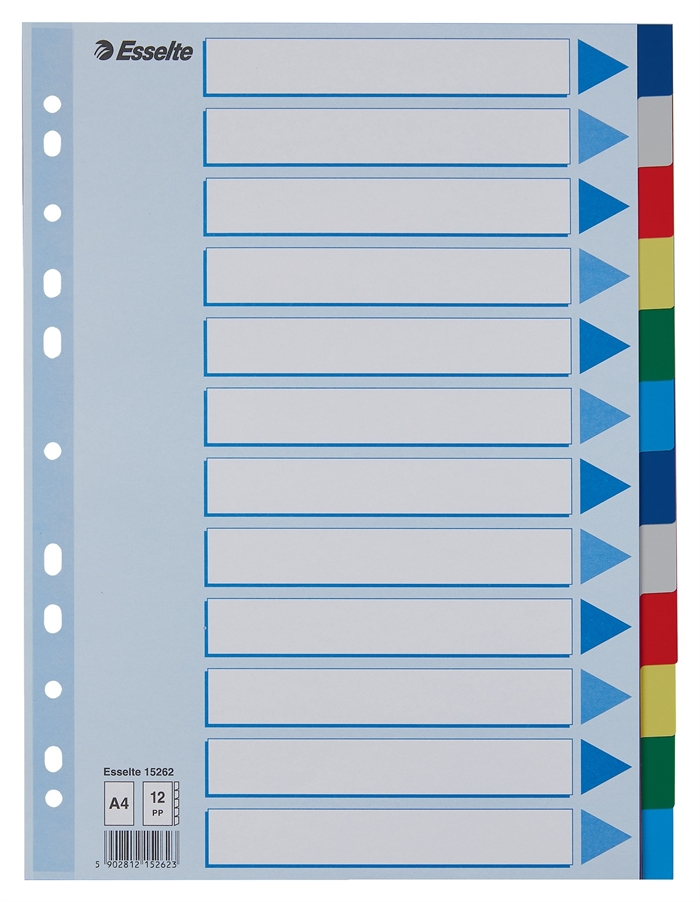 Esselte Registerkarten PP A4 in 12 farbigen Abschnitten.