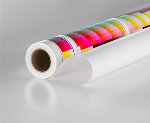 Rauch RP 255S Fernprüfungs-Papier, halb matt - 250 g/m², A4